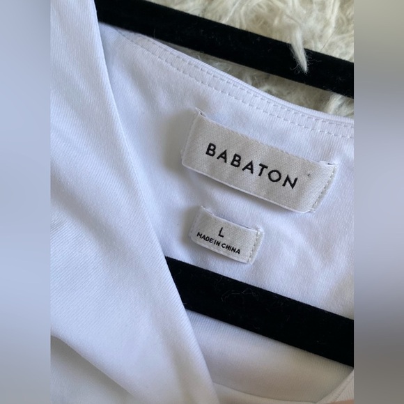 Aritzia Babaton Worldly Dress - Picture 4 of 13